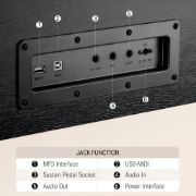 DDP-100