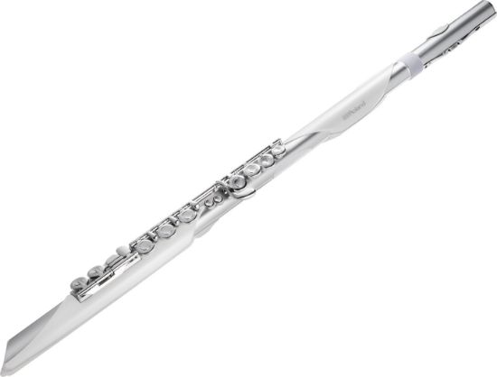Roland Aerophone Digital Wind Instrument