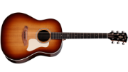Taylor Gold Label 717e SB Cream PG