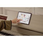 Casio AP-750 GB Smart Hybrid Celviano