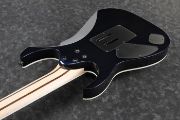 Ibanez RG2027RXL-DTB elgitar med hardcase