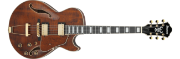 Ibanez AG95MG-DA elgitar Artcore Expressionist