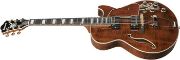 Ibanez AG95MG-DA elgitar Artcore Expressionist