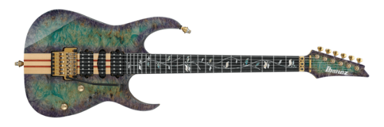 Ibanez IV2RG elgitar med hardcase, RG Visions