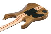 Ibanez IV2RG elgitar med hardcase, RG Visions