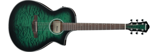 Ibanez AEWC16QA-TEH western-gitar med mikrofon