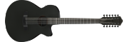 Ibanez AEG1221-BOT western-gitar med mikrofon, 12-strengers