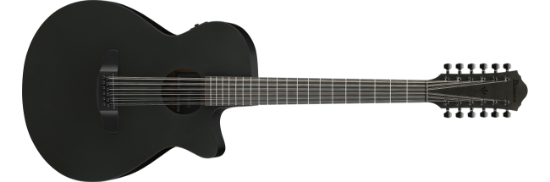 Ibanez AEG1221-BOT western-gitar med mikrofon, 12-strengers