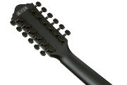 Ibanez AEG1221-BOT western-gitar med mikrofon, 12-strengers
