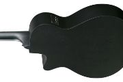 Ibanez AEG1221-BOT western-gitar med mikrofon, 12-strengers