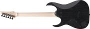 Ibanez RGR662AHBF-WK elgitar med hardcase