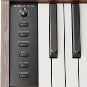 Donner DHP-200 Pro Walnut