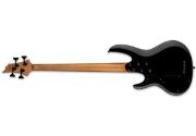 LTD  B-204DX BLACK BURST