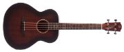 Morgan AB 07 DVB Shortscale