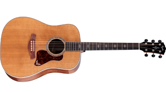 Taylor Gold Label 810e Honduran Rosewood