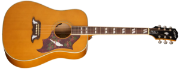 Epiphone Dove Studio NA