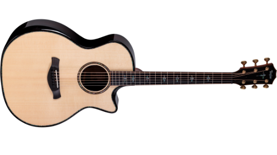 Taylor Next Generation Builder’s Edition 914ce Lutz Spruce/Indian Rosewood