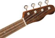 Fender Zuma Exotic Concert Ukulele, Walnut Fingerboard, Bocote