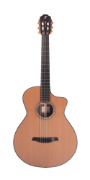 Furch GNc 4-CR a LR Baggs EAS-VTC Nylon