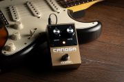 Strymon Canoga analog fuzz pedal